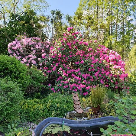 Ferienwohnung Gartenblick Westerstede Exterior foto