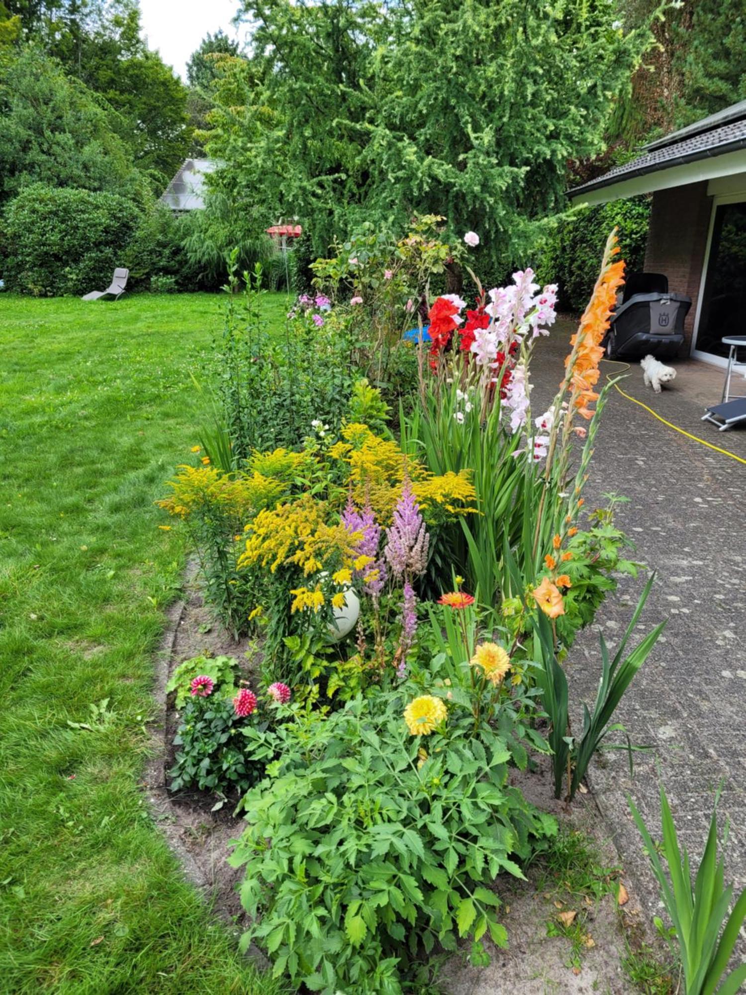 Ferienwohnung Gartenblick Westerstede Exterior foto